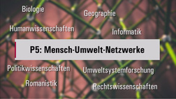 Video profile line 5: Human-environmental networks.  YouTube Osnabrueck University